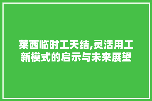 莱西临时工天结,灵活用工新模式的启示与未来展望