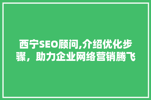 西宁SEO顾问,介绍优化步骤，助力企业网络营销腾飞