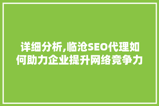 详细分析,临沧SEO代理如何助力企业提升网络竞争力