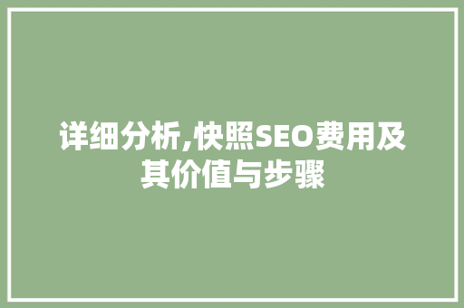 详细分析,快照SEO费用及其价值与步骤 Webpack