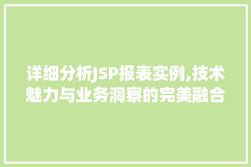 详细分析JSP报表实例,技术魅力与业务洞察的完美融合