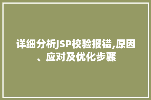 详细分析JSP校验报错,原因、应对及优化步骤