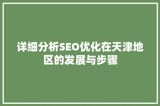 详细分析SEO优化在天津地区的发展与步骤 Python