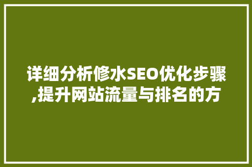 详细分析修水SEO优化步骤,提升网站流量与排名的方法