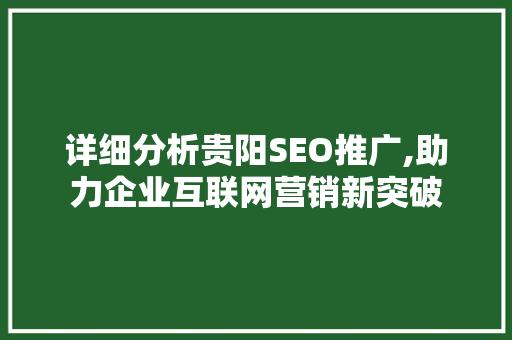 详细分析贵阳SEO推广,助力企业互联网营销新突破