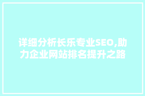 详细分析长乐专业SEO,助力企业网站排名提升之路