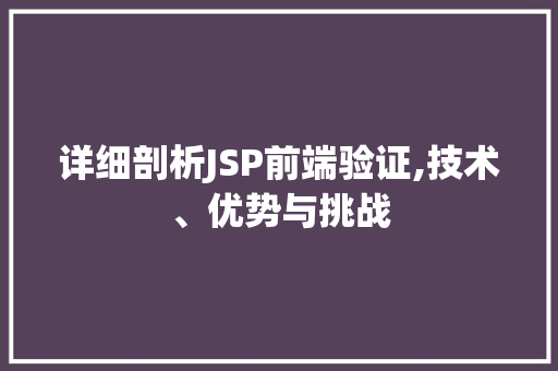 详细剖析JSP前端验证,技术、优势与挑战