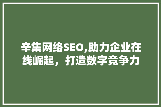 辛集网络SEO,助力企业在线崛起，打造数字竞争力 Java