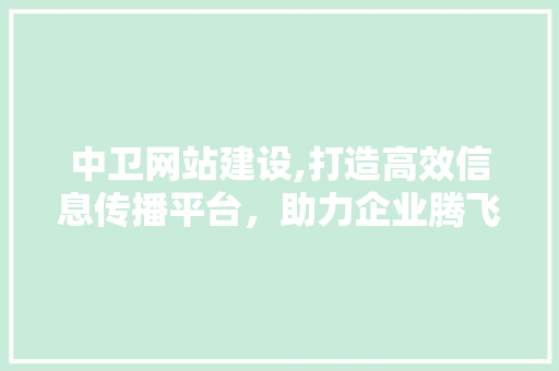 中卫网站建设,打造高效信息传播平台，助力企业腾飞 Vue.js