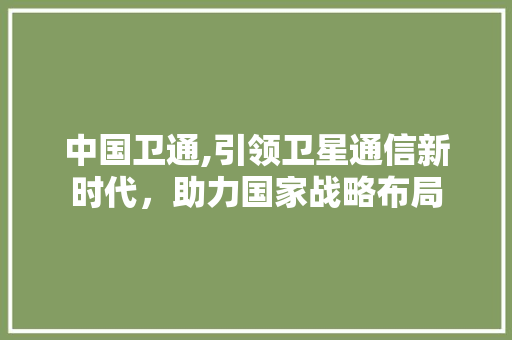 中国卫通,引领卫星通信新时代，助力国家战略布局 Angular