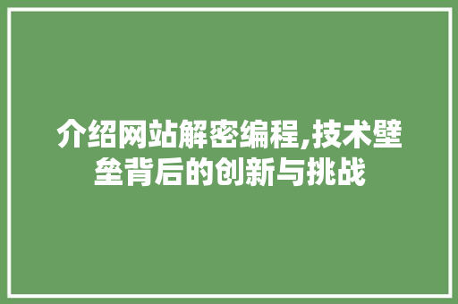 介绍网站解密编程,技术壁垒背后的创新与挑战