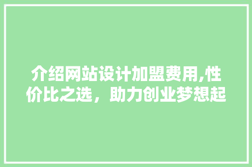 介绍网站设计加盟费用,性价比之选，助力创业梦想起飞