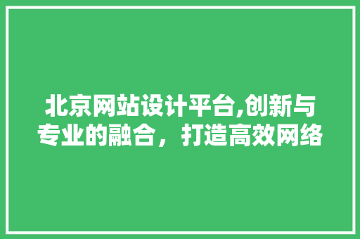 北京网站设计平台,创新与专业的融合，打造高效网络营销新生态