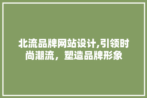 北流品牌网站设计,引领时尚潮流，塑造品牌形象 HTML