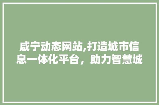 咸宁动态网站,打造城市信息一体化平台，助力智慧城市建设 HTML