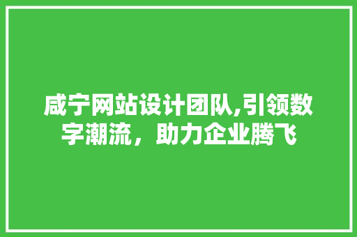 咸宁网站设计团队,引领数字潮流，助力企业腾飞 Vue.js