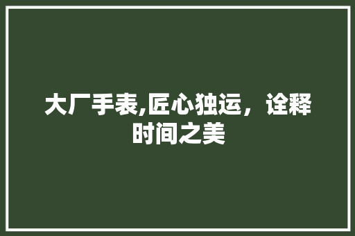 大厂手表,匠心独运，诠释时间之美