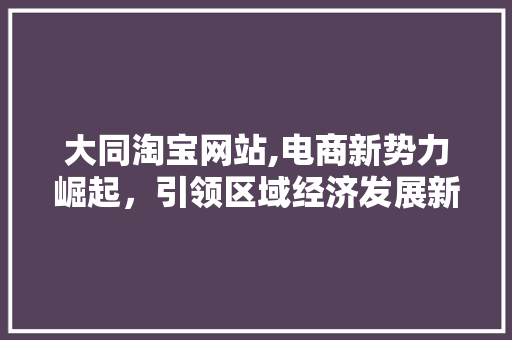 大同淘宝网站,电商新势力崛起，引领区域经济发展新篇章