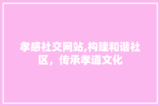 孝感社交网站,构建和谐社区，传承孝道文化