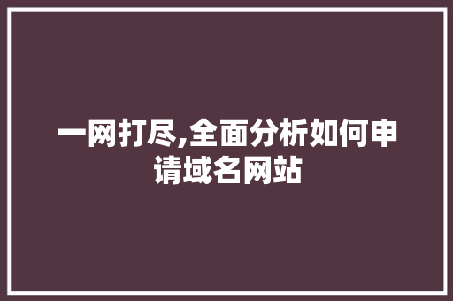 一网打尽,全面分析如何申请域名网站 AJAX