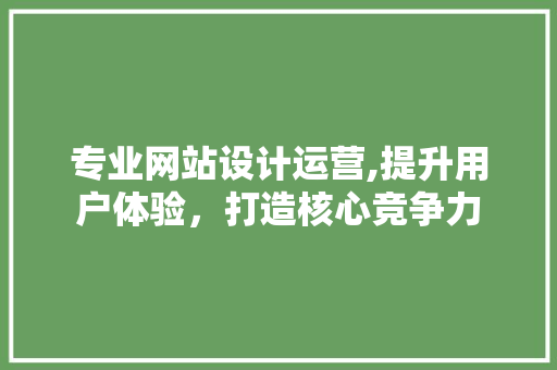 专业网站设计运营,提升用户体验，打造核心竞争力 Java