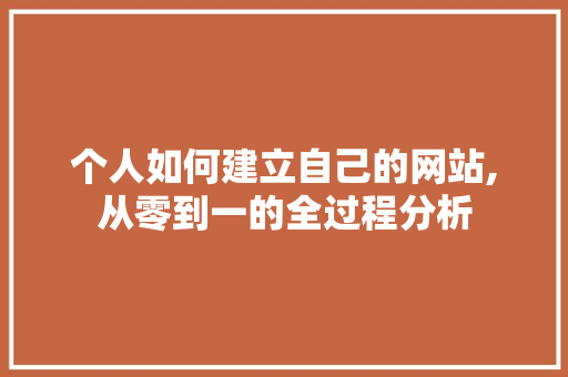 个人如何建立自己的网站,从零到一的全过程分析 Webpack