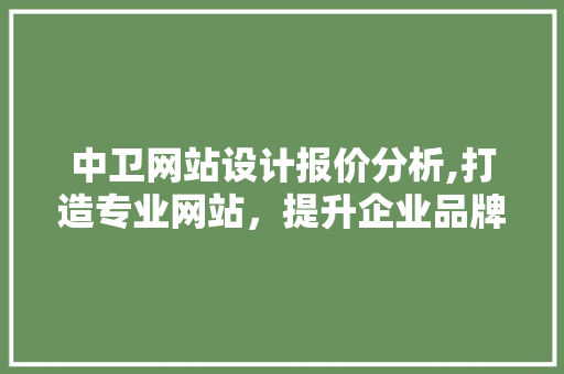 中卫网站设计报价分析,打造专业网站，提升企业品牌形象 CSS