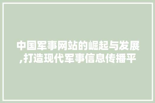 中国军事网站的崛起与发展,打造现代军事信息传播平台