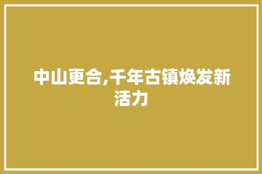 中山更合,千年古镇焕发新活力 Java