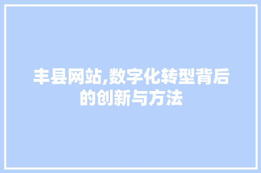 丰县网站,数字化转型背后的创新与方法