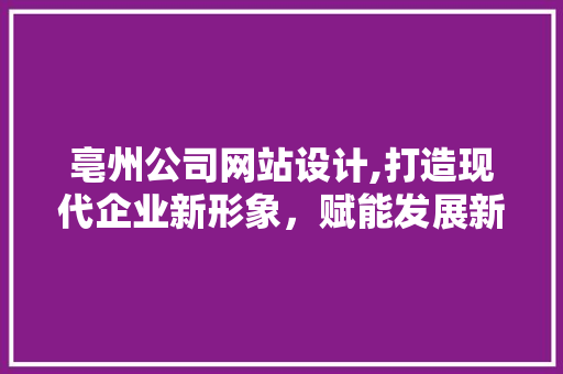 亳州公司网站设计,打造现代企业新形象，赋能发展新引擎