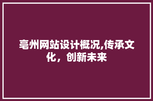 亳州网站设计概况,传承文化，创新未来