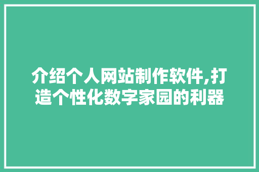 介绍个人网站制作软件,打造个性化数字家园的利器