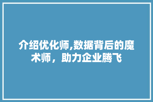 介绍优化师,数据背后的魔术师，助力企业腾飞 Node.js