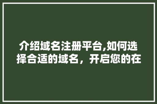 介绍域名注册平台,如何选择合适的域名，开启您的在线之旅 CSS