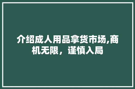 介绍成人用品拿货市场,商机无限，谨慎入局