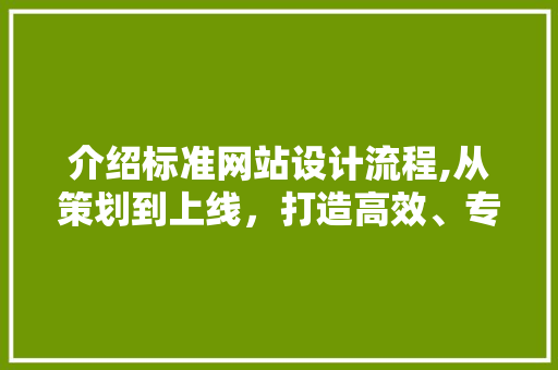 介绍标准网站设计流程,从策划到上线，打造高效、专业的网站 Ruby