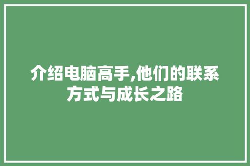 介绍电脑高手,他们的联系方式与成长之路