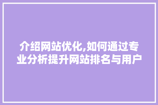 介绍网站优化,如何通过专业分析提升网站排名与用户体验 CSS