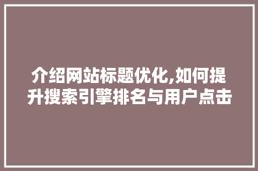 介绍网站标题优化,如何提升搜索引擎排名与用户点击率