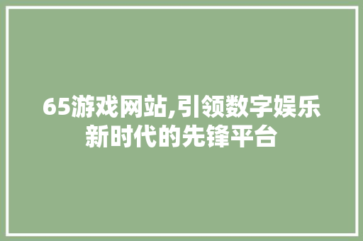 65游戏网站,引领数字娱乐新时代的先锋平台