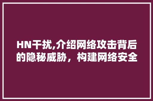 HN干扰,介绍网络攻击背后的隐秘威胁，构建网络安全防线 Node.js