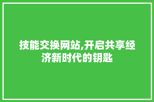 技能交换网站,开启共享经济新时代的钥匙