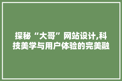 探秘“大哥”网站设计,科技美学与用户体验的完美融合 Java