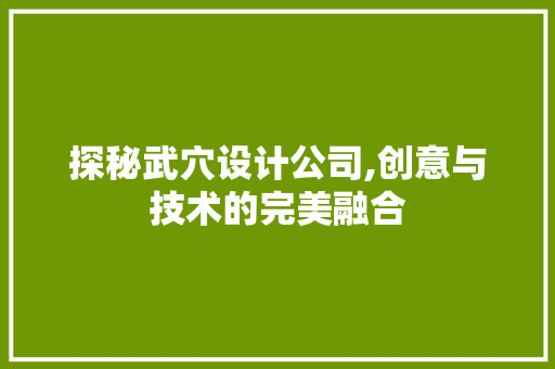 探秘武穴设计公司,创意与技术的完美融合