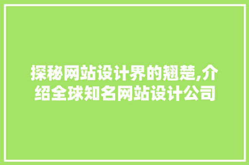 探秘网站设计界的翘楚,介绍全球知名网站设计公司