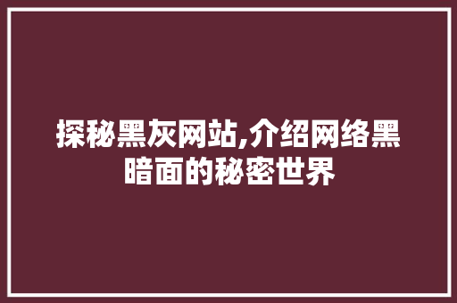 探秘黑灰网站,介绍网络黑暗面的秘密世界