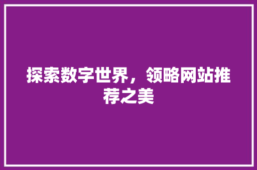 探索数字世界，领略网站推荐之美