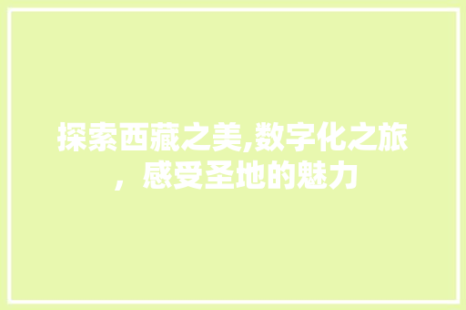 探索西藏之美,数字化之旅，感受圣地的魅力