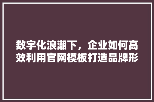 数字化浪潮下，企业如何高效利用官网模板打造品牌形象 Node.js